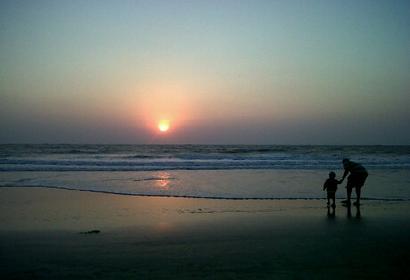 Photos by 