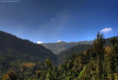Photos by Kiran Kumar G