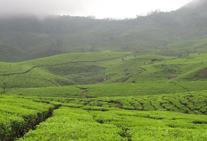 Photos by Akanksha Gupta
