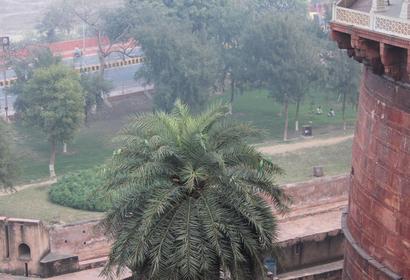 Photos by Anannya Debnath