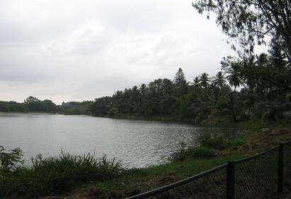 Photos by Smilee Kaur
