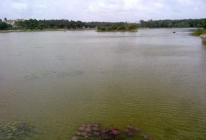Photos by Shashank Sharma