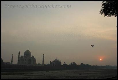 Photos by Avanish Kumar Maurya