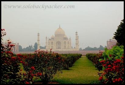 Photos by Avanish Kumar Maurya