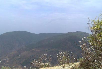 Photos by Suraj Singh Rawat