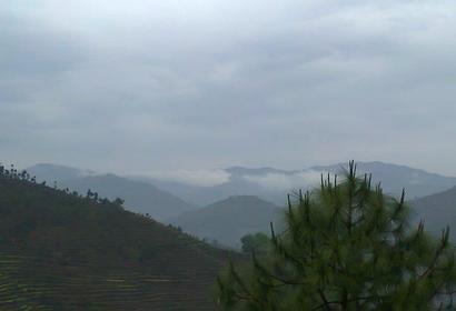 Photos by Suraj Singh Rawat