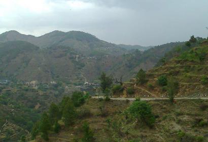 Photos by Suraj Singh Rawat
