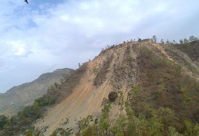 Photos by Suraj Singh Rawat
