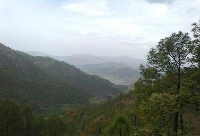 Photos by Suraj Singh Rawat