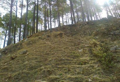 Photos by Suraj Singh Rawat