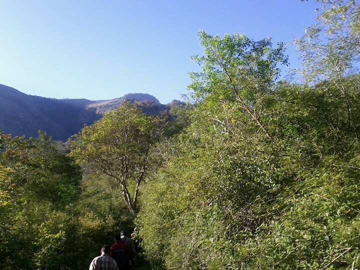 Nearest Airport To Central Forest Nursery Nilambur Nearest Airport To Central Forest