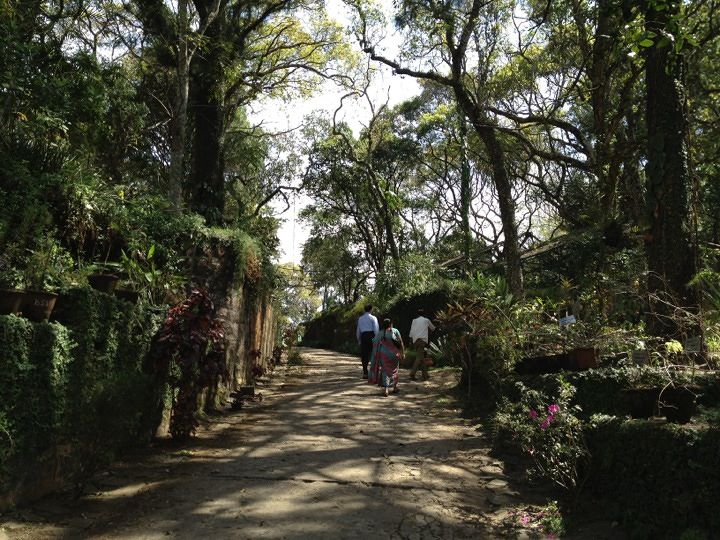 Botanical Garden yercaud entry fee, Botanical Garden ticket, entry