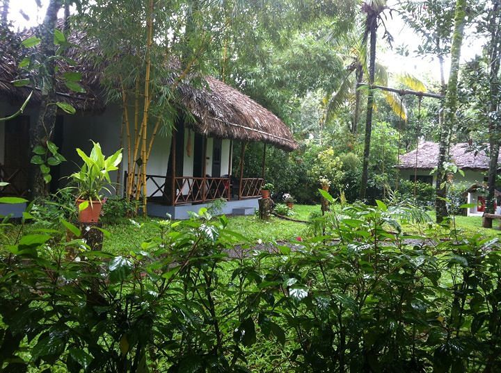 Dreamland Spices Park idukki entry fee, Dreamland Spices Park ticket, entry/entrance fee