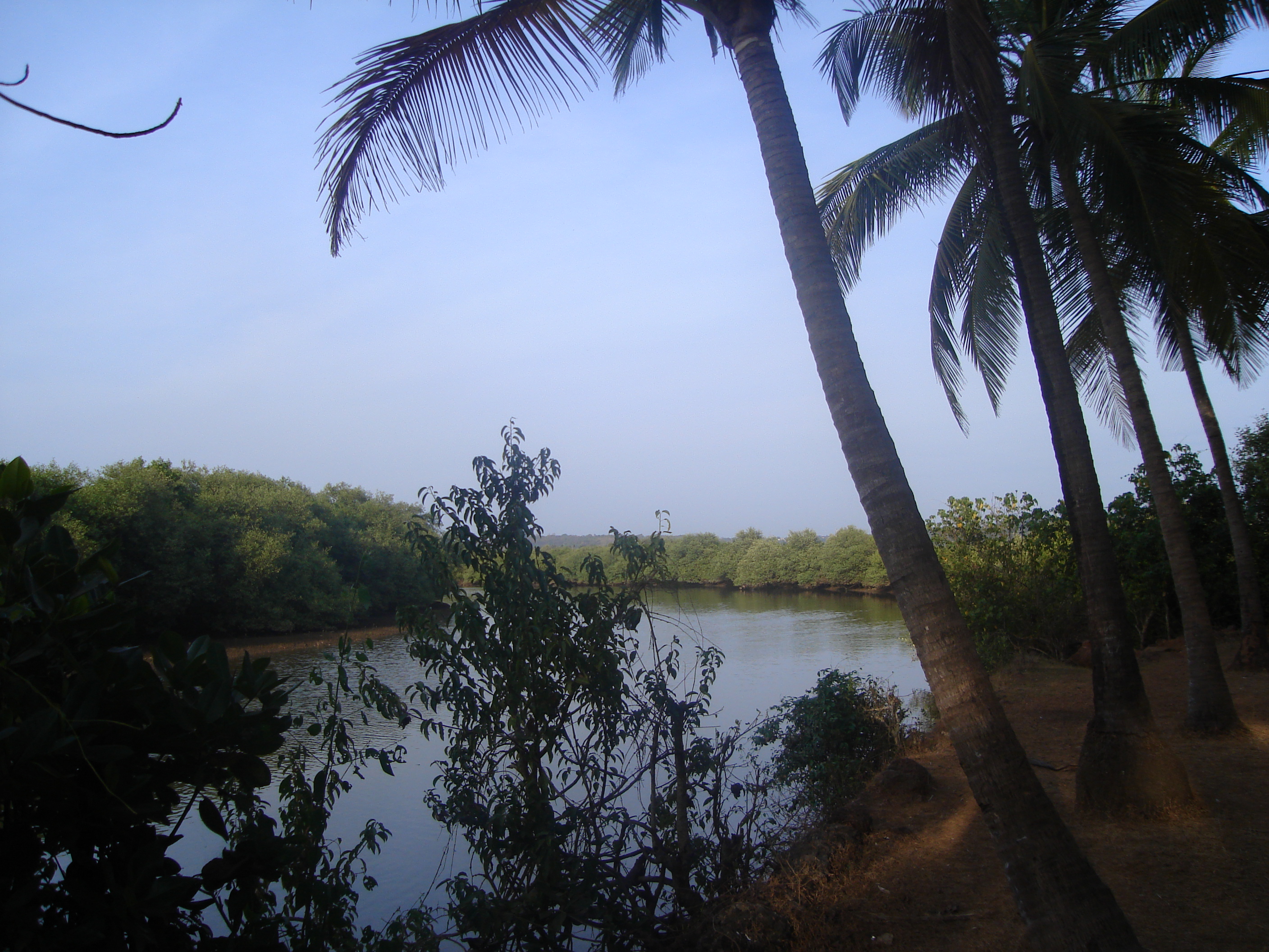 Coco Beach Goa, India Location, Facts, History and all about Coco