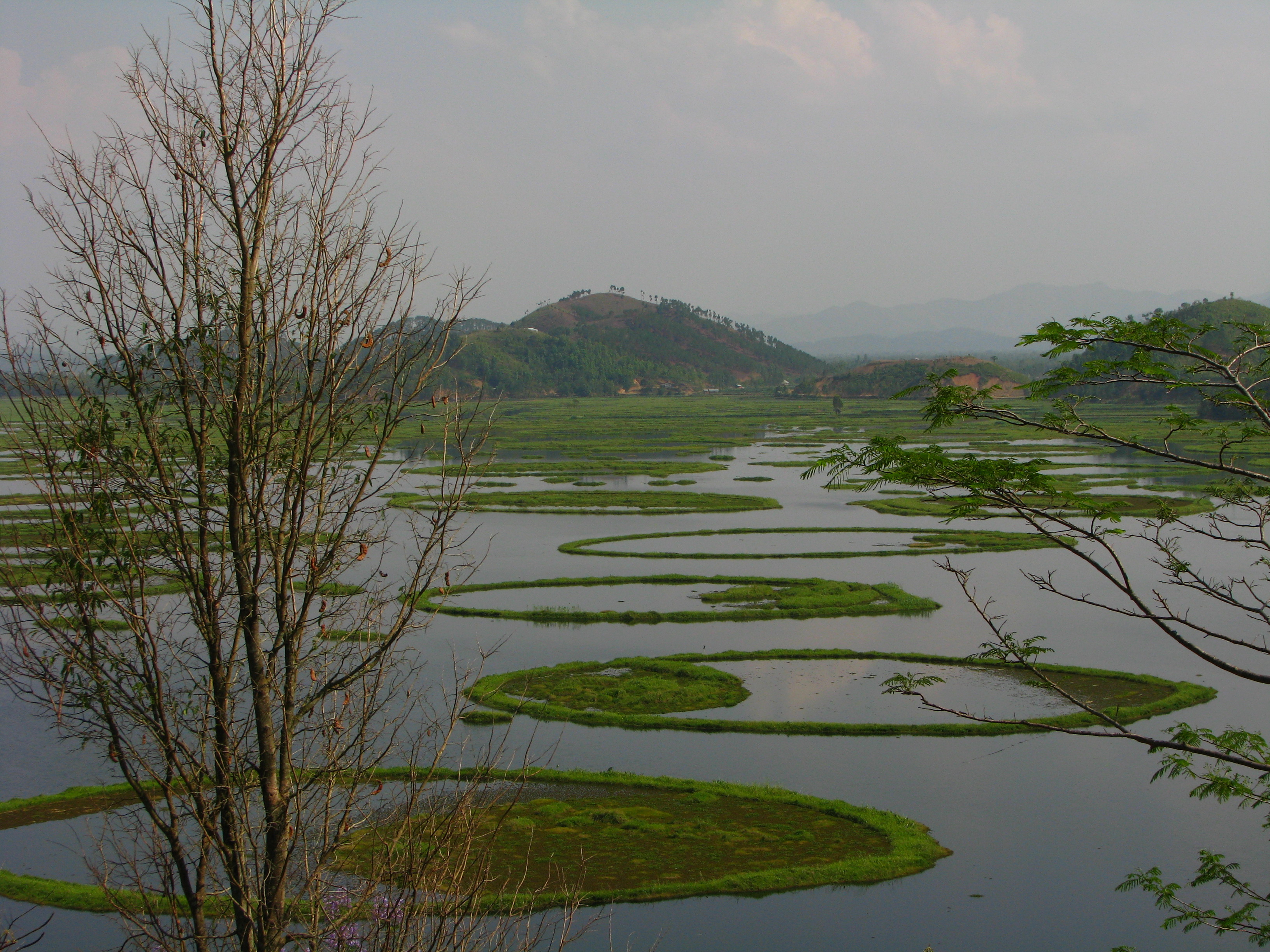 Loktak Lake Imphal, India - Location, Facts and all about Loktak Lake Imphal  - ixigo trip planner
