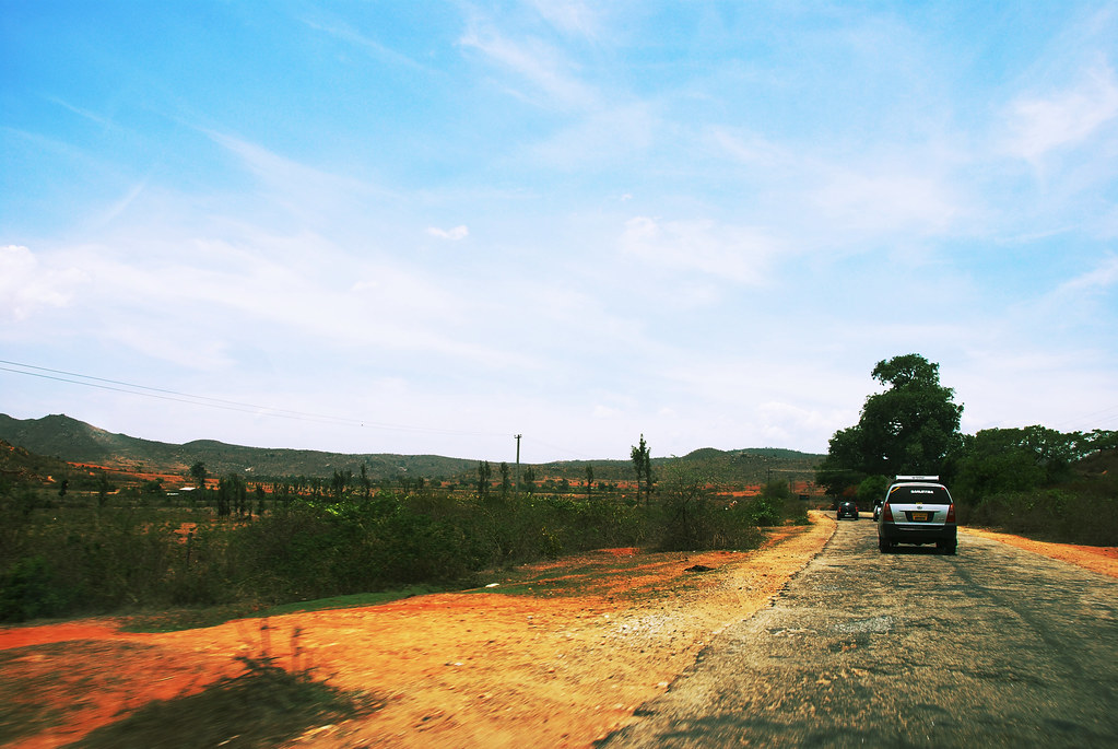 Jungle Safari at Bandipur National Park bandipur entry fee, Jungle