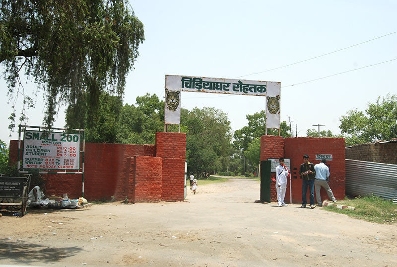 Tilyar Zoo Rohtak, India Location, Facts, History and all about