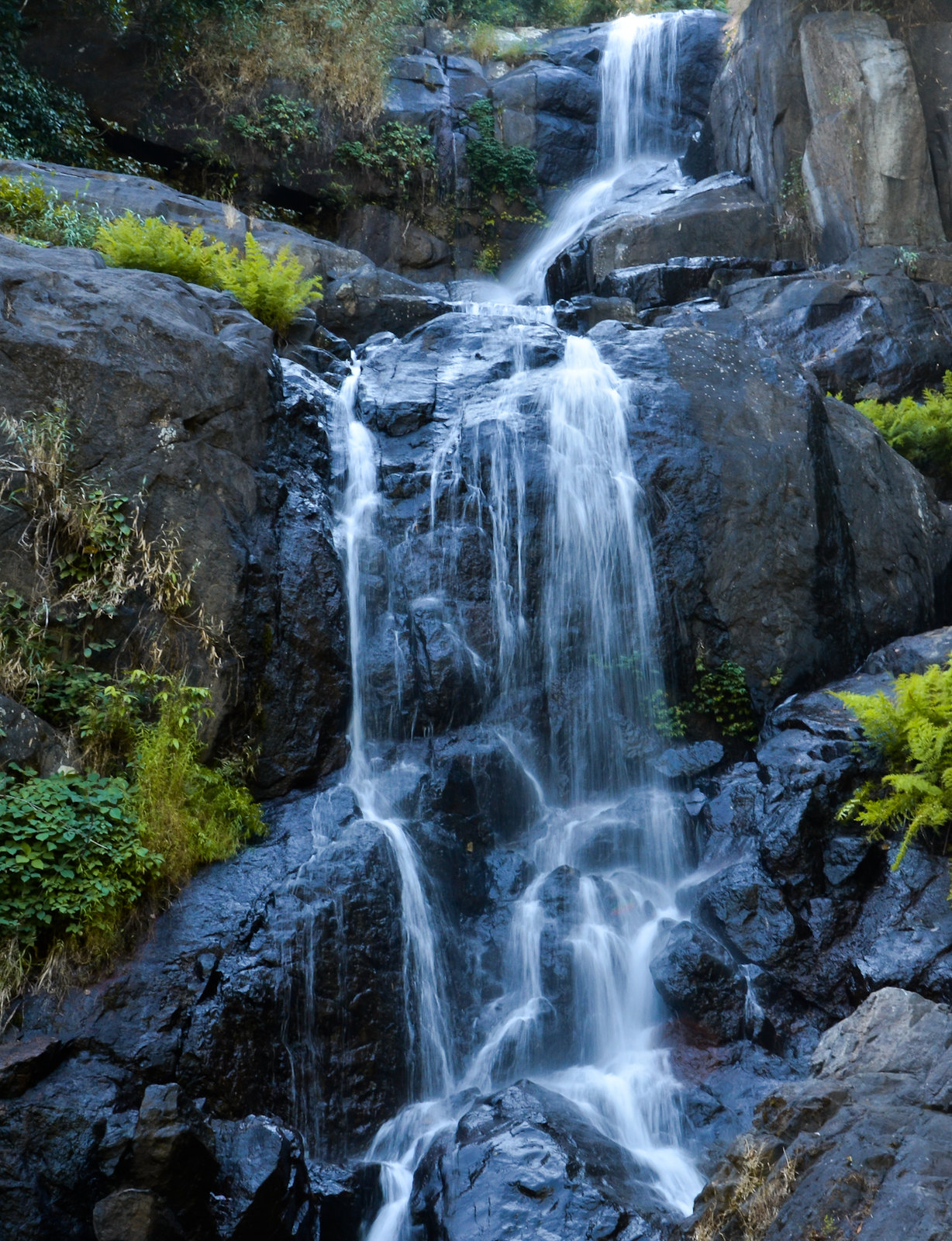 Meenmutty Falls Kalpetta, India Location, Facts, History and all