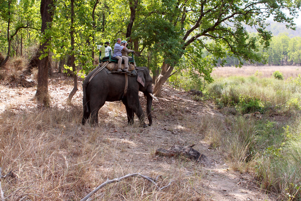 Mudumalai National Park and Wildlife Sanctuary Mudumalai, India Location, Facts, History and
