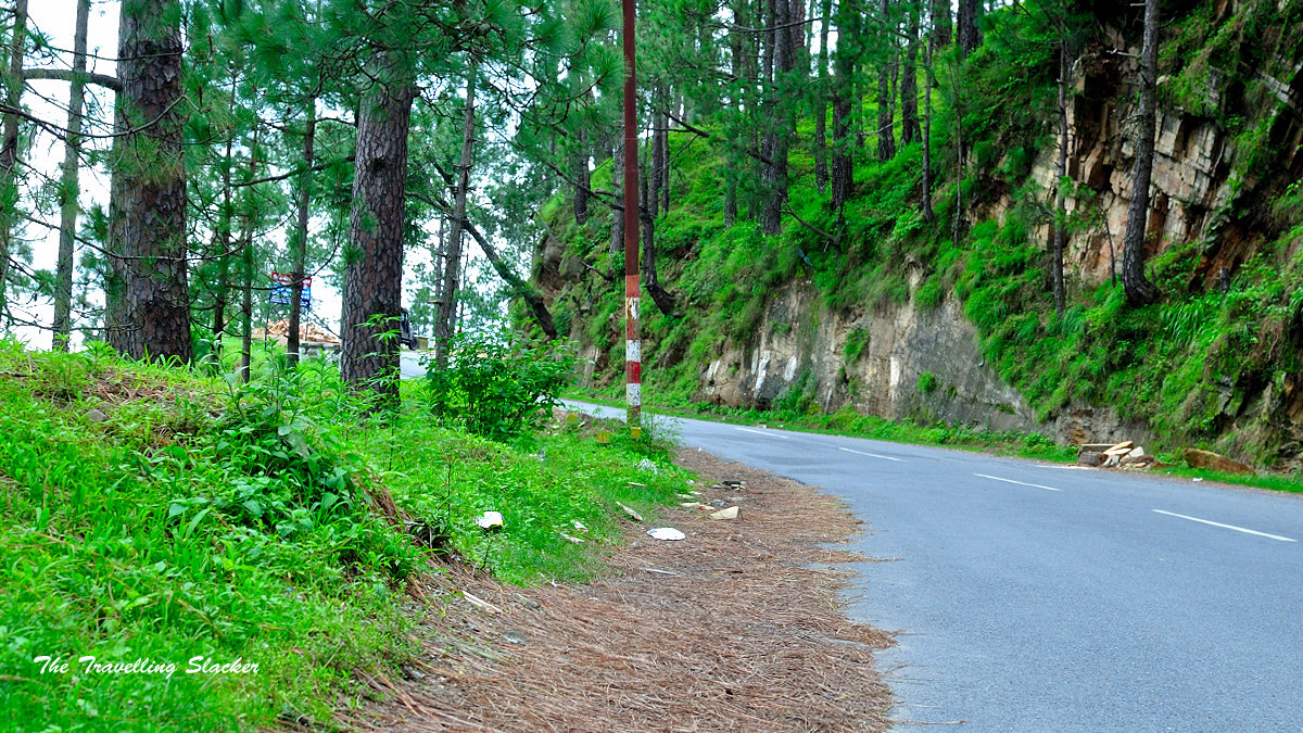 Binsar Wildlife Sanctuary Binsar, India Location, Facts, History and